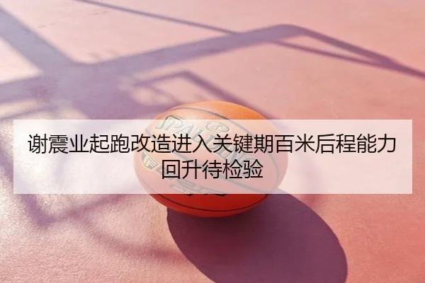 谢震业起跑改造进入关键期百米后程能力回升待检验