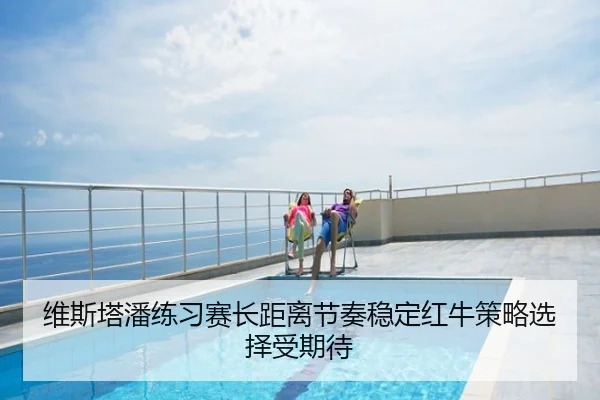 维斯塔潘练习赛长距离节奏稳定红牛策略选择受期待