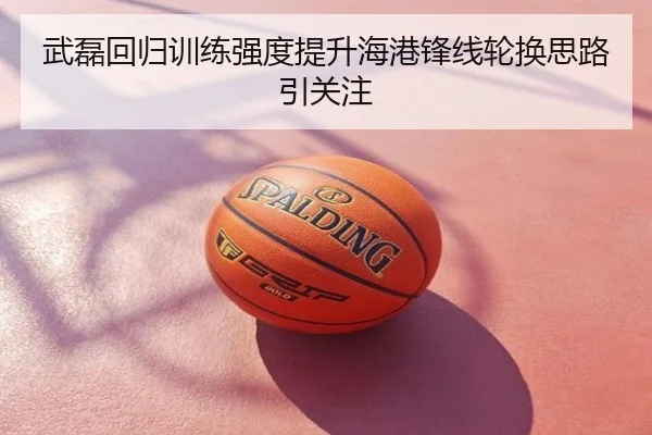 武磊回归训练强度提升海港锋线轮换思路引关注